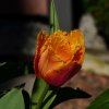 05 a Wanderung zum 1. Mai